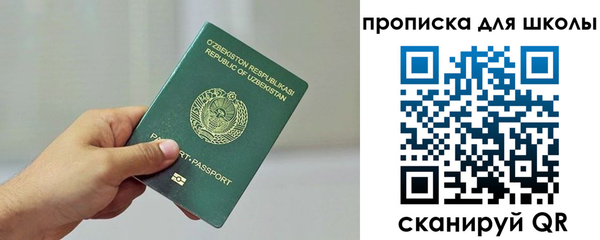 прописка для работы в Чистополье